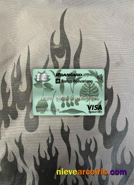 Ecuador Banco Bolivariano bank visa signature card photolook